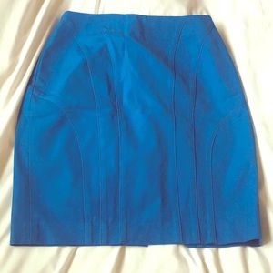 NWOT Blue Banana Republic skirt